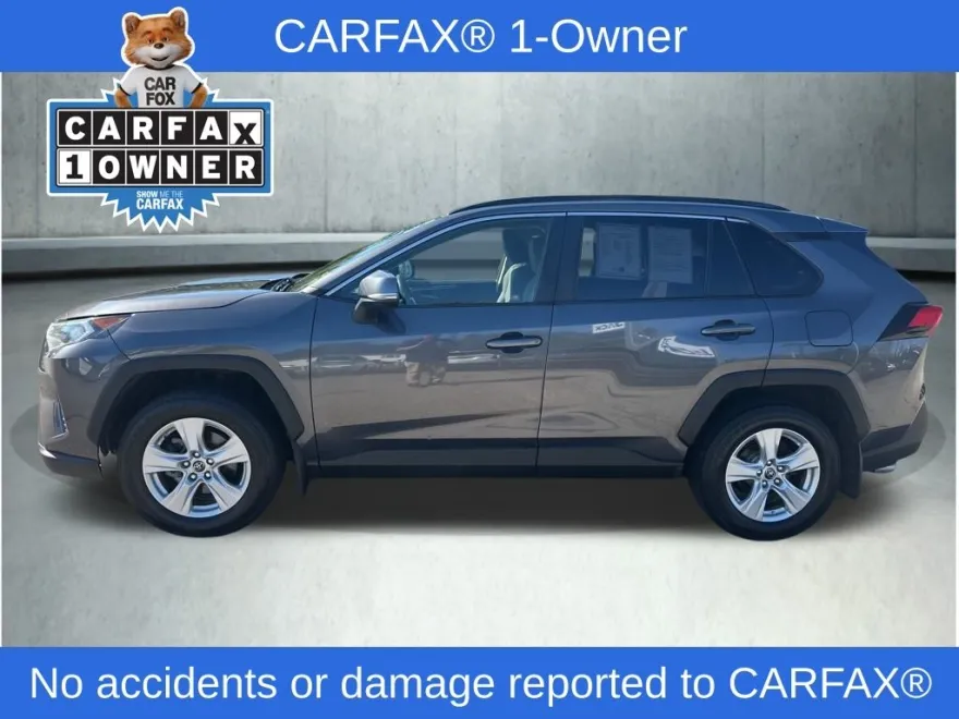 2019 Toyota RAV4 XLE photo 1
