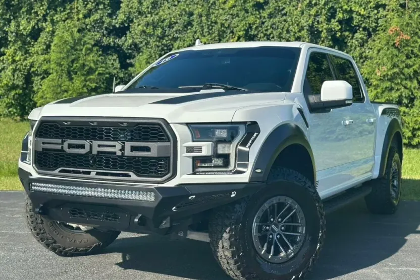 2019 Ford F-150 Raptor photo 1