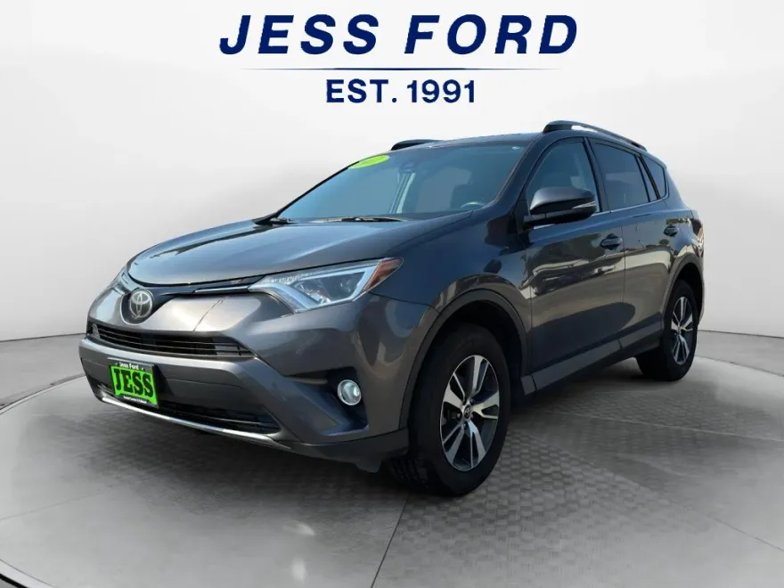 2017 Toyota RAV4 XLE photo 1