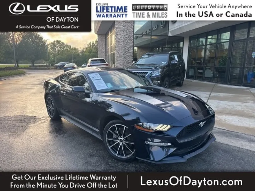 2021 Ford Mustang Mach 1 photo 1