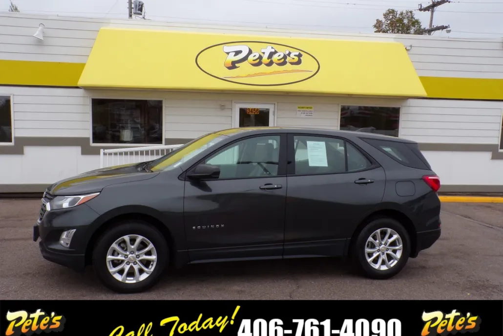 2019 Chevrolet Equinox LS photo 1