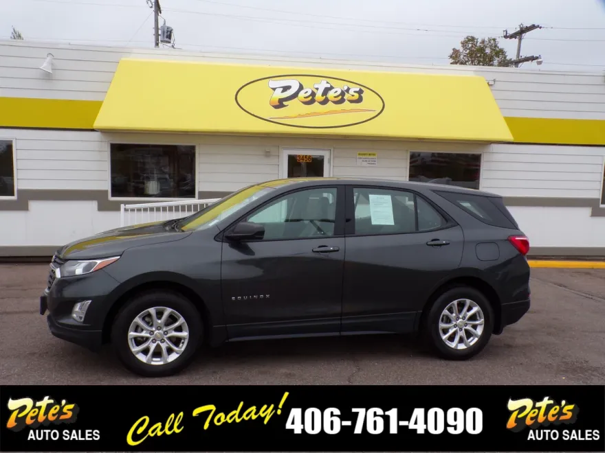 2019 Chevrolet Equinox LS photo 1