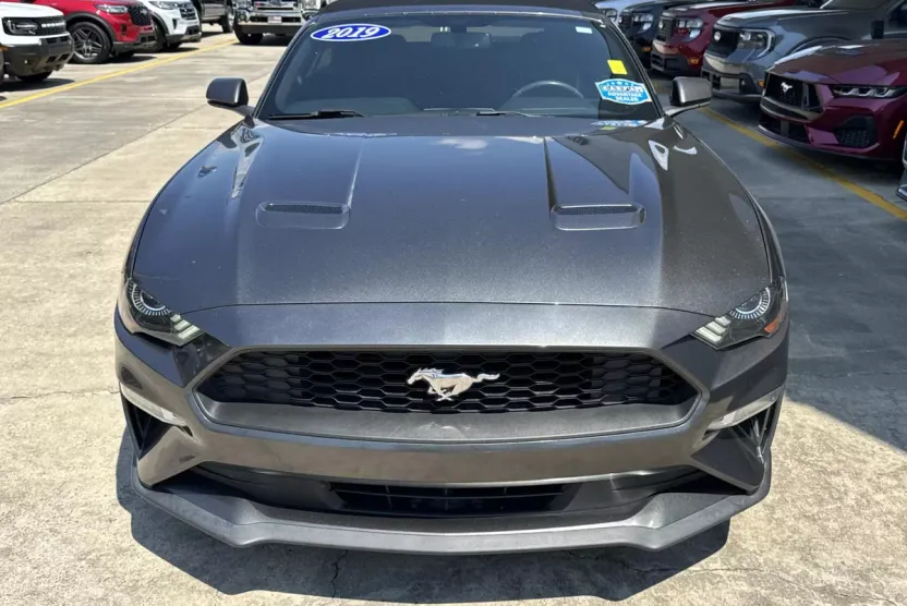 2019 Ford Mustang EcoBoost Premium Convertible photo 1