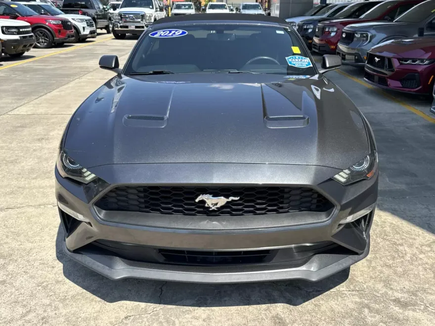 2019 Ford Mustang EcoBoost Premium Convertible photo 1
