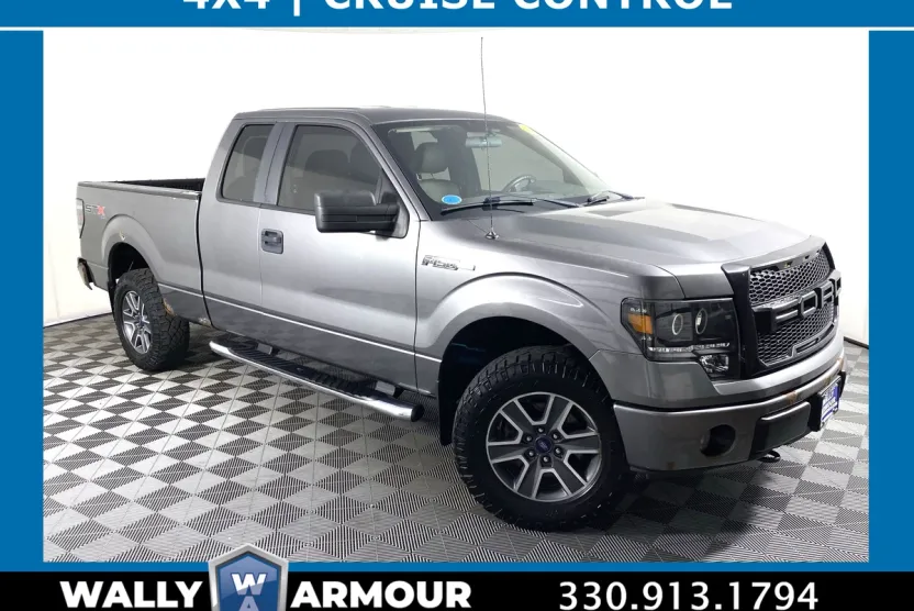 2010 Ford F-150 photo 1