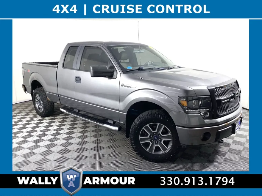 2010 Ford F-150 photo 1
