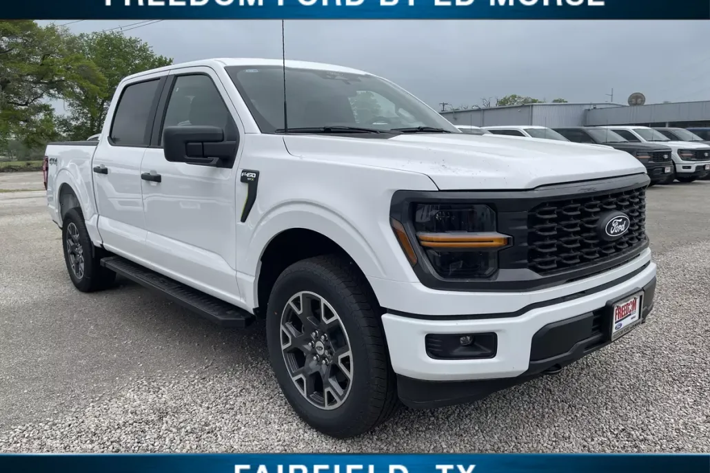 2025 Ford F-150 STX photo 1