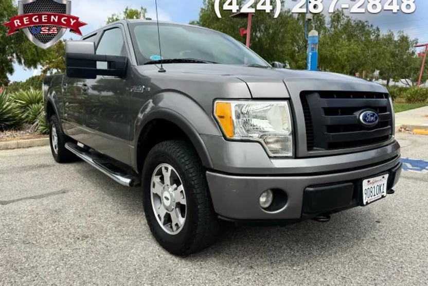 2010 Ford F-150 photo 1