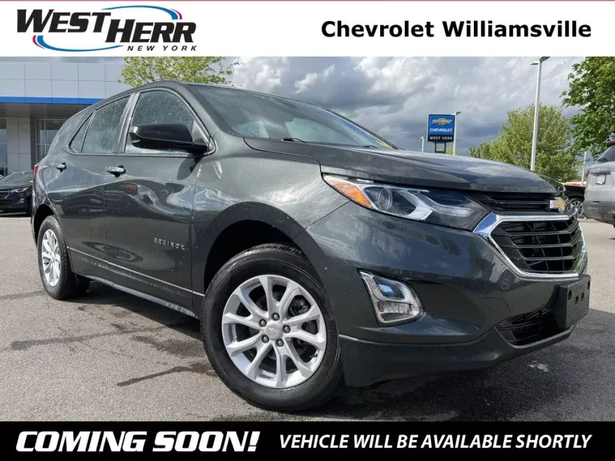 2020 Chevrolet Equinox LS photo 1