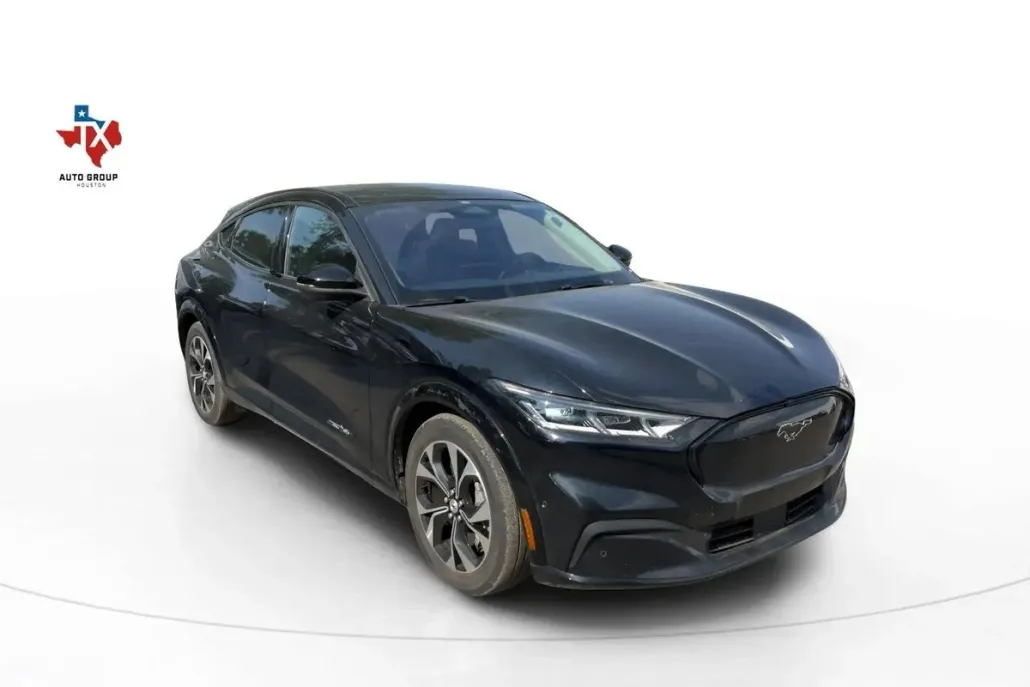 2021 Ford Mustang Mach-E Premium photo 1