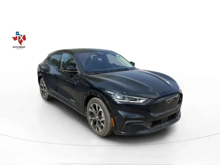 2021 Ford Mustang Mach-E Premium photo 1