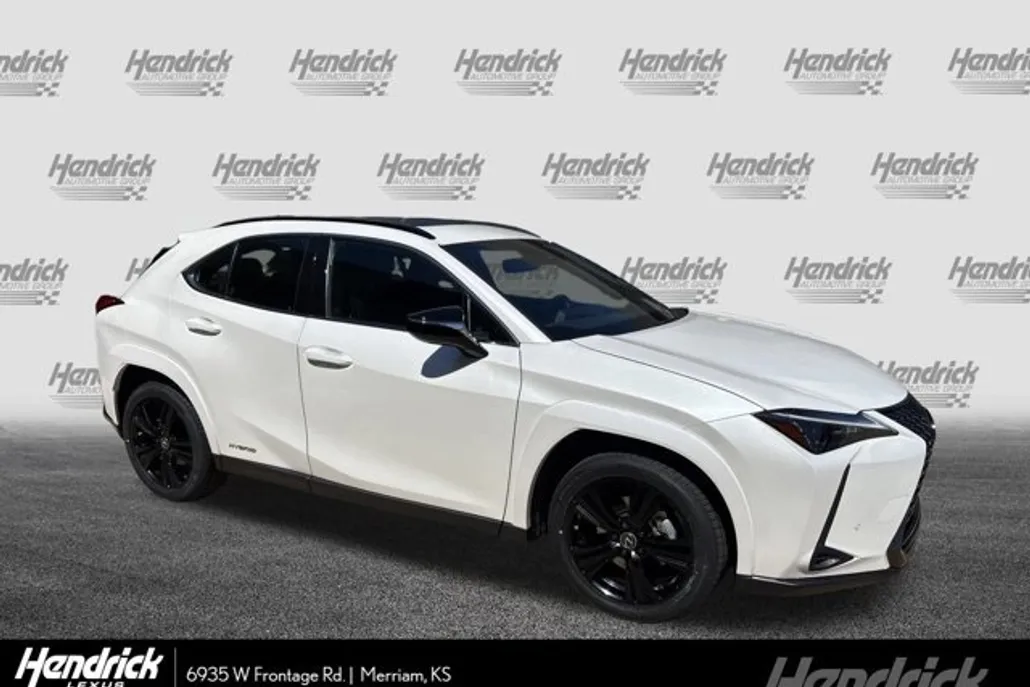 2021 Lexus UX 250h photo 1