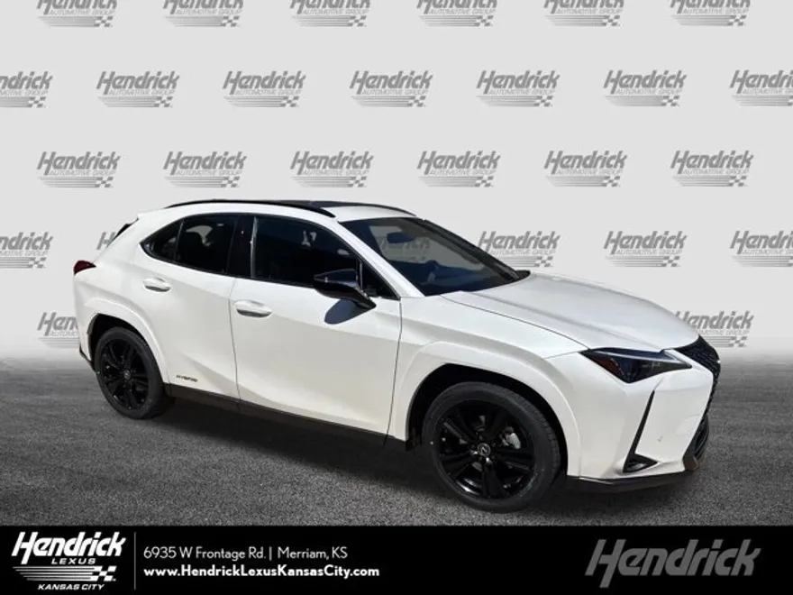 2021 Lexus UX 250h photo 1