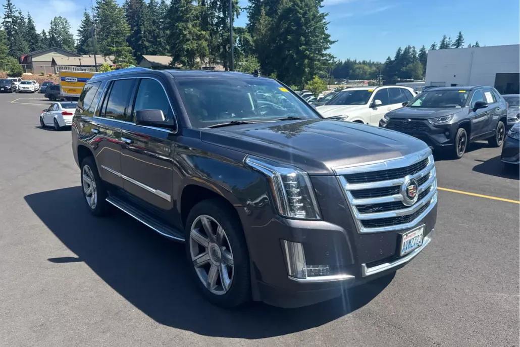 2015 Cadillac Escalade Luxury photo 1