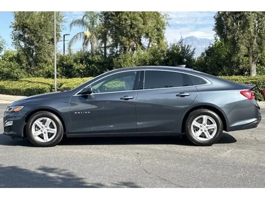 2019 Chevrolet Malibu photo 1