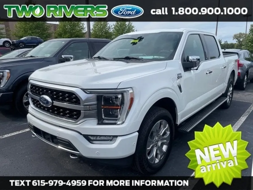 2021 Ford F-150 Platinum photo 1