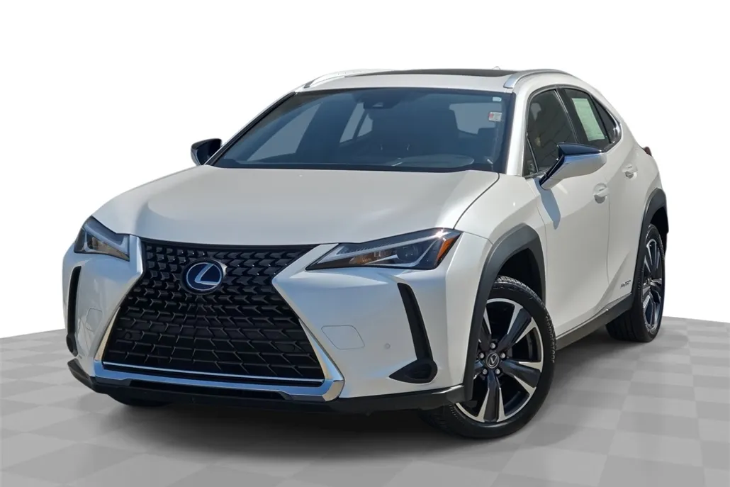 2022 Lexus UX 250h photo 1
