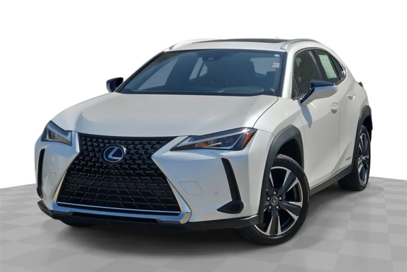 2022 Lexus UX 250h photo 1