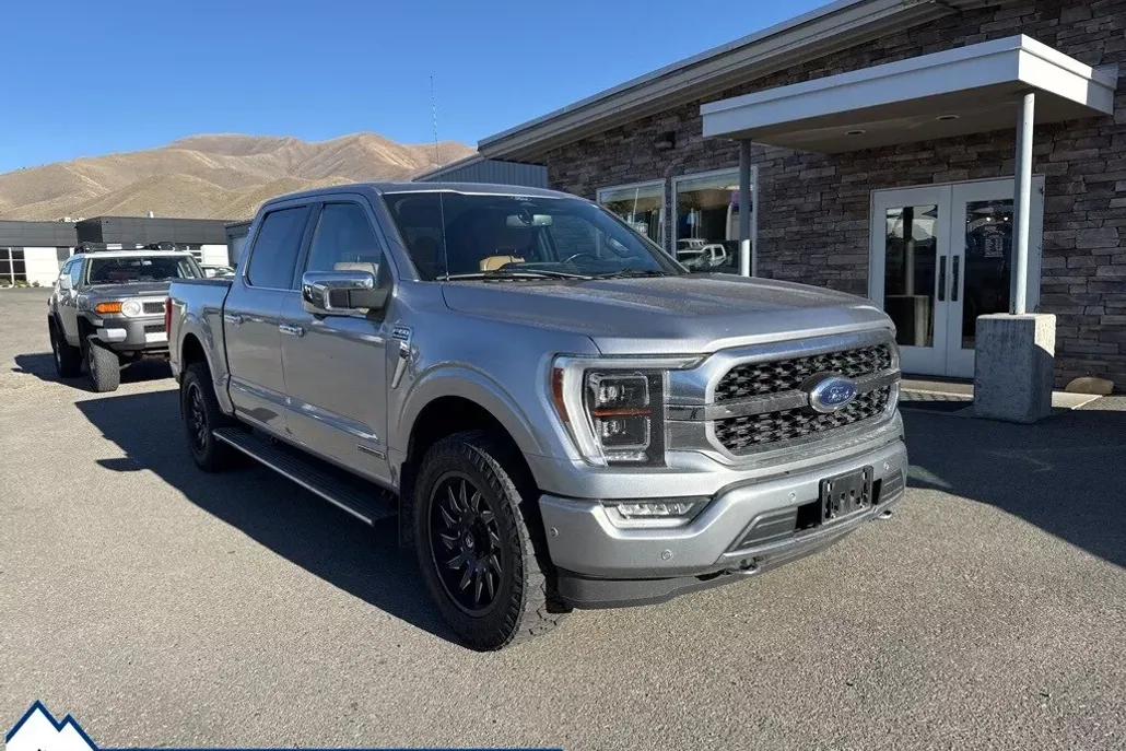 2021 Ford F-150 Platinum photo 1