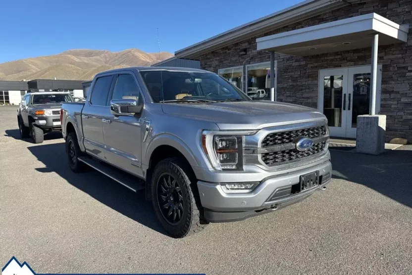 2021 Ford F-150 Platinum photo 1