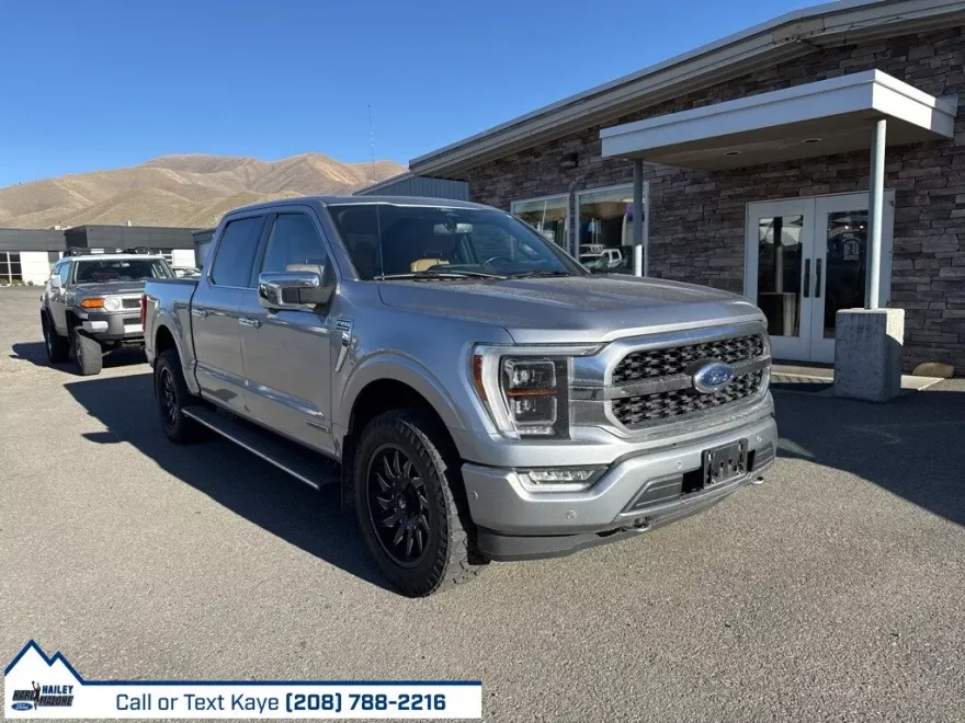 2021 Ford F-150 Platinum photo 1