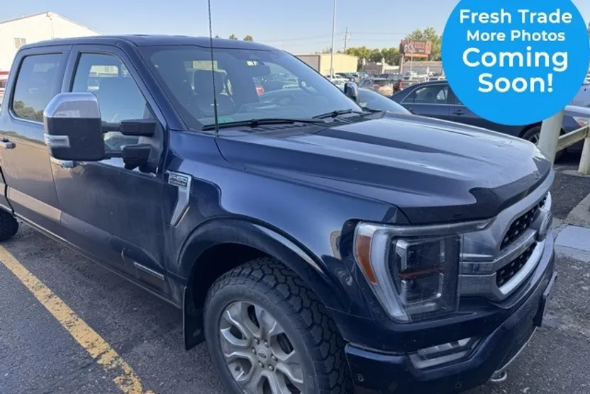 2022 Ford F-150 Platinum photo 1