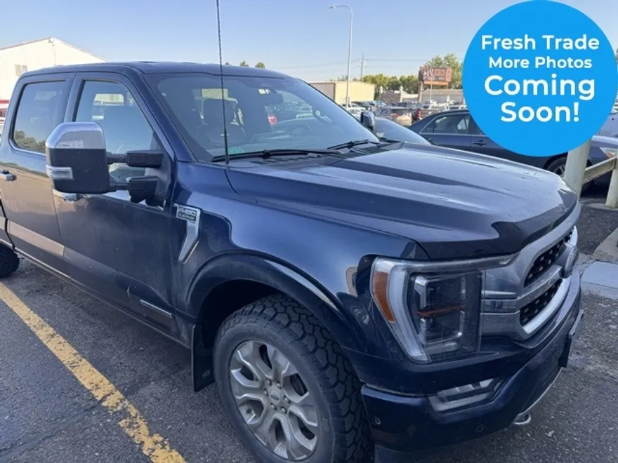 2022 Ford F-150 Platinum photo 1
