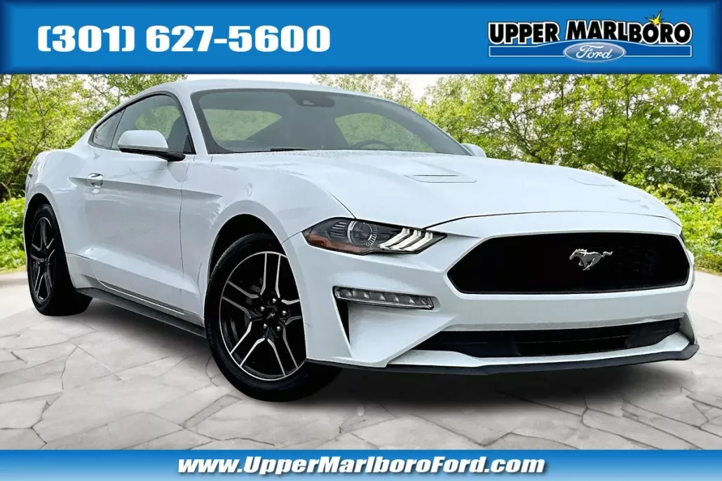 2023 Ford Mustang EcoBoost Premium photo 1