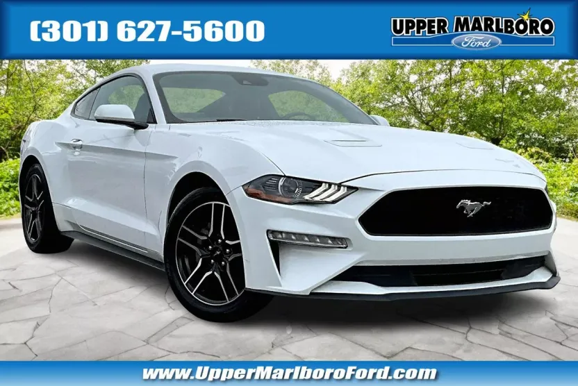 2023 Ford Mustang EcoBoost Premium photo 1