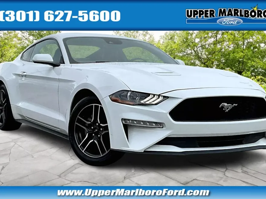 2023 Ford Mustang EcoBoost Premium photo 1