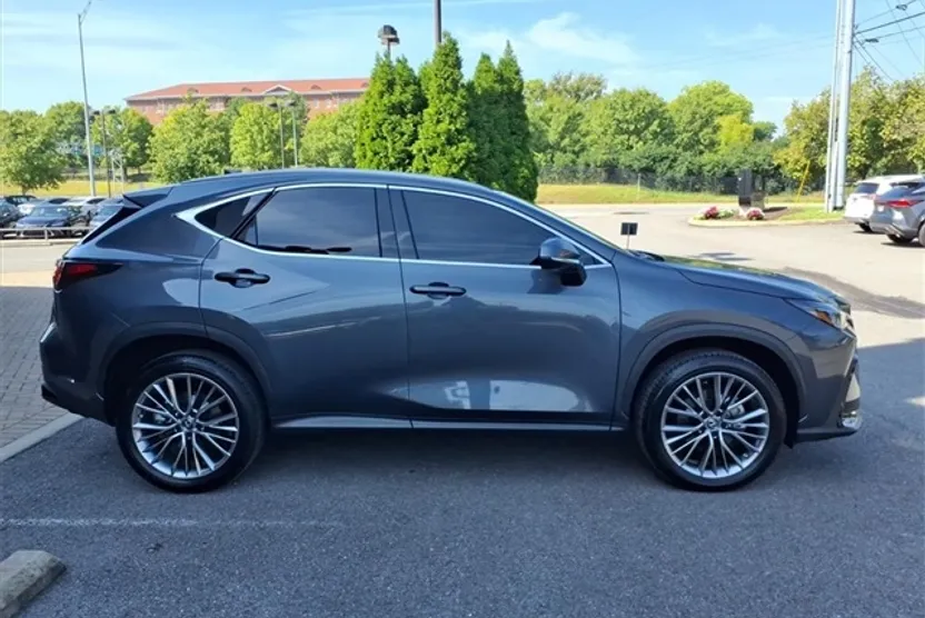 2023 Lexus NX 350h Luxury photo 1