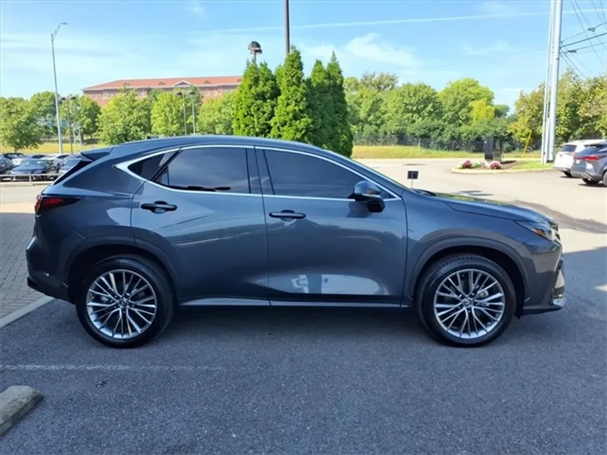 2023 Lexus NX 350h Luxury photo 1