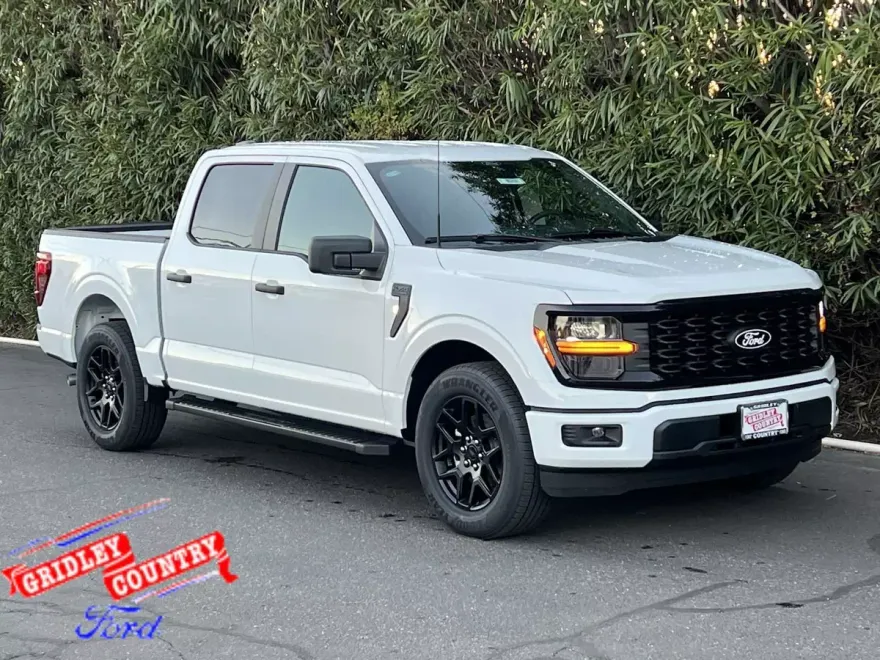2025 Ford F-150 STX photo 1