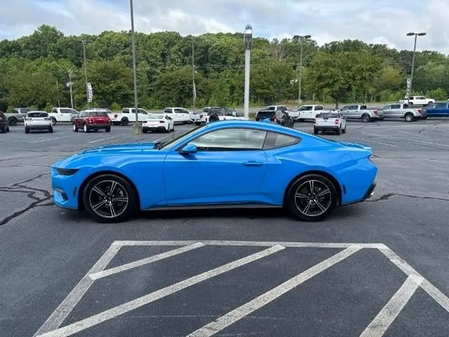 2025 Ford Mustang EcoBoost Premium photo 1