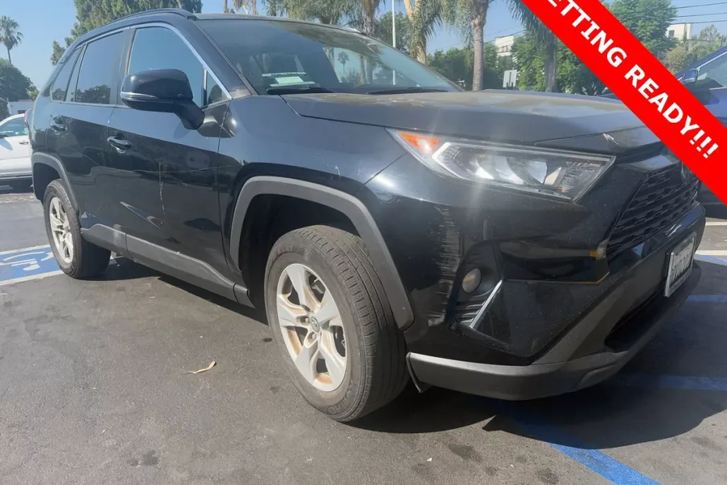 2019 Toyota RAV4 XLE photo 1
