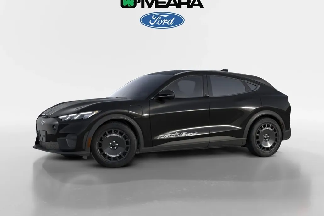 2025 Ford Mustang Mach-E GT photo 1