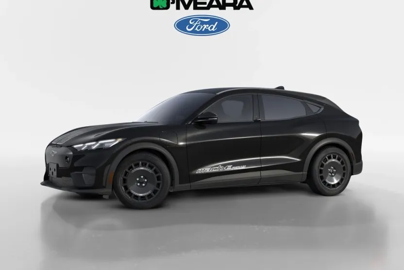 2025 Ford Mustang Mach-E GT photo 1