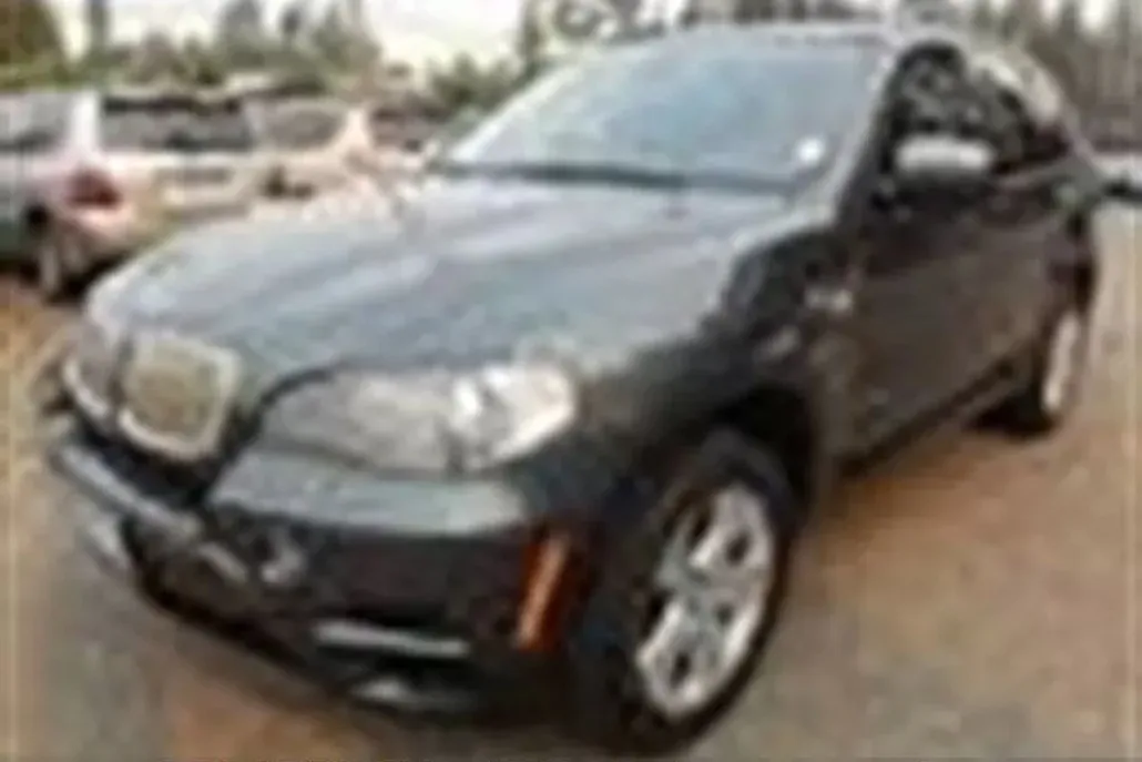 2011 Bmw X5 xDrive35d photo 1