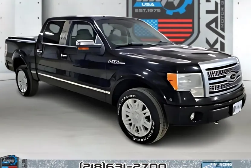 2009 Ford F-150 Platinum photo 1