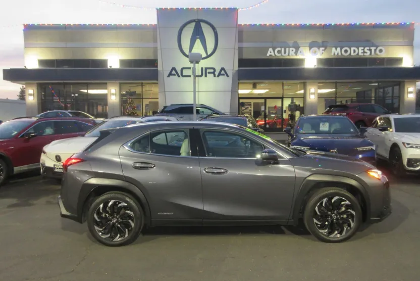 2022 Lexus UX 250h photo 1