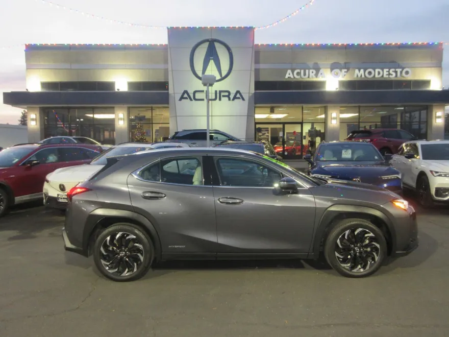 2022 Lexus UX 250h photo 1