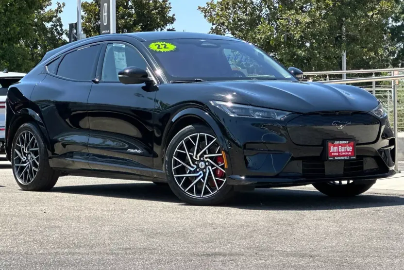 2022 Ford Mustang Mach-E GT photo 1