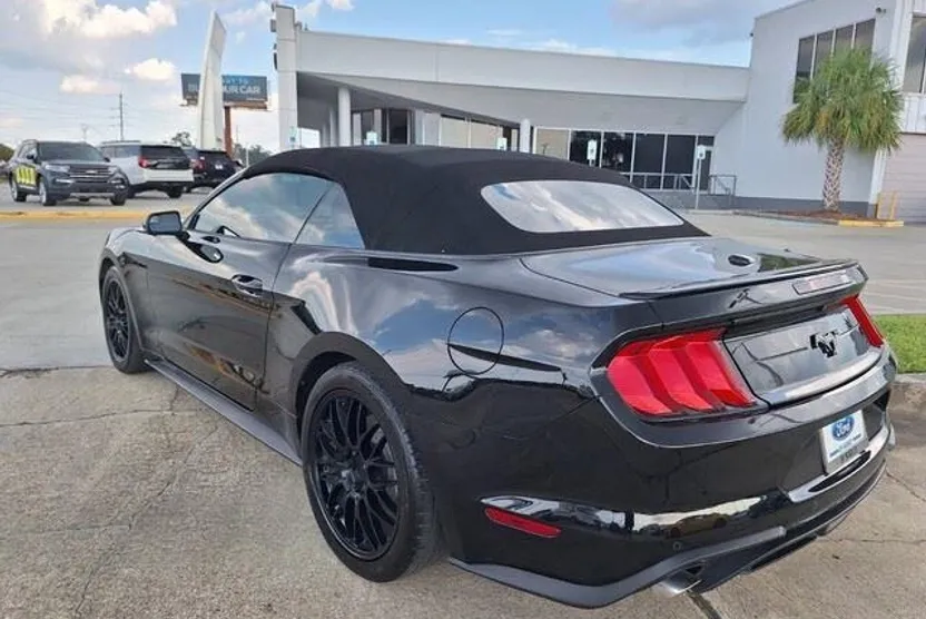 2019 Ford Mustang EcoBoost Premium photo 1