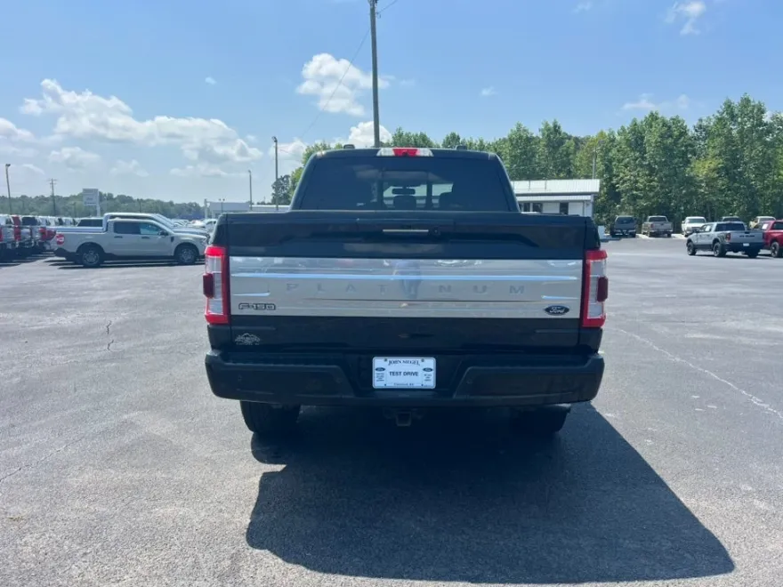 2021 Ford F-150 Platinum photo 6