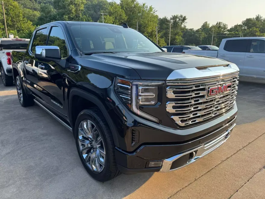 2025 Gmc Sierra 1500 Denali photo 1