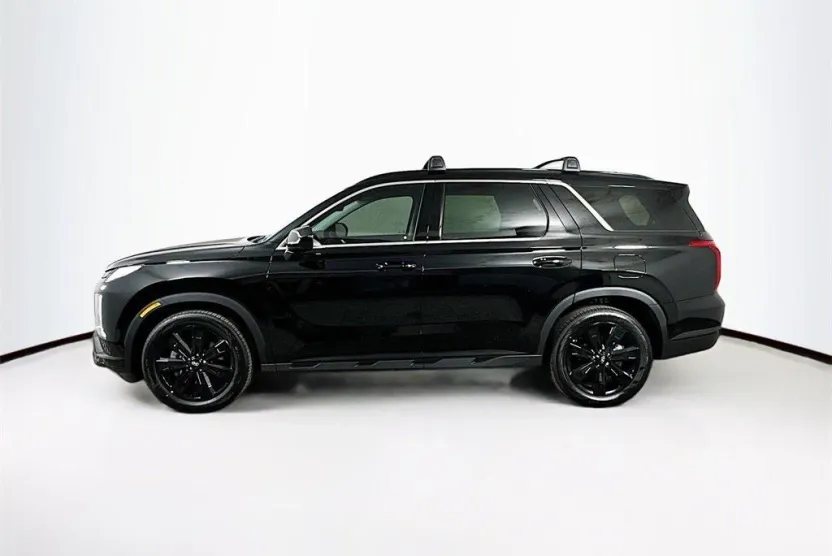 2025 Hyundai Palisade XRT photo 1