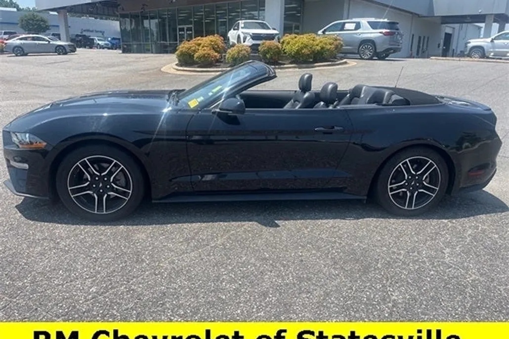 2023 Ford Mustang EcoBoost Premium photo 1