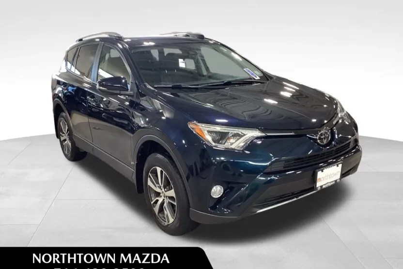 2017 Toyota RAV4 XLE photo 1