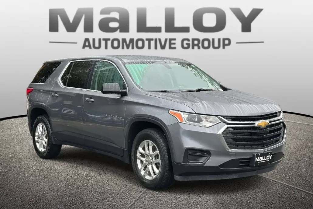 2019 Chevrolet Traverse LS photo 1