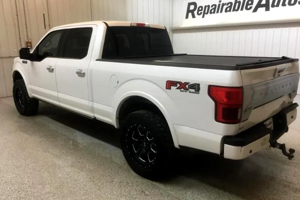 2019 Ford F-150 Platinum photo 1